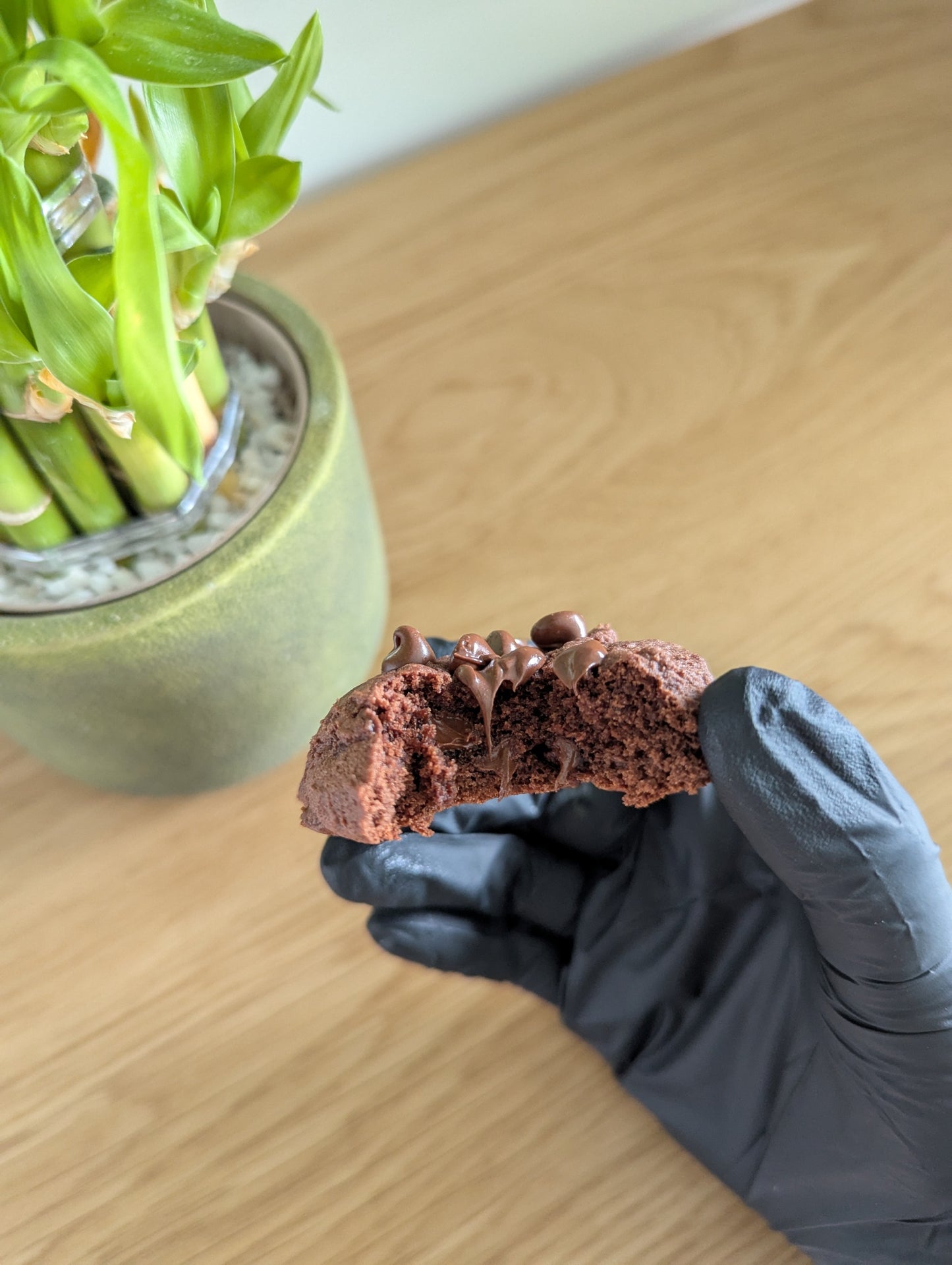 vegan chocolate cookie and a bamboo in the background